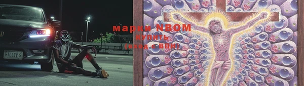 спиды Дмитриев