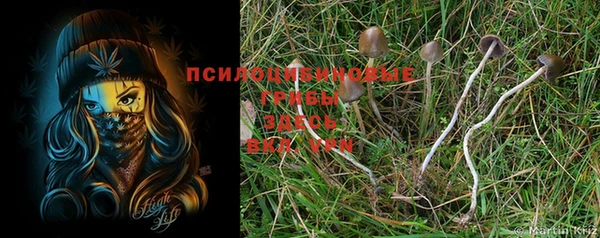 спиды Дмитриев