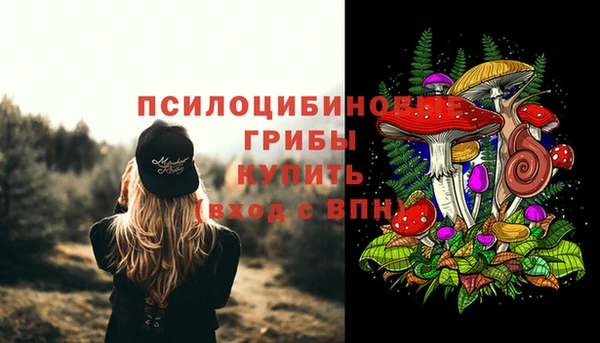 ALPHA PVP Дмитров