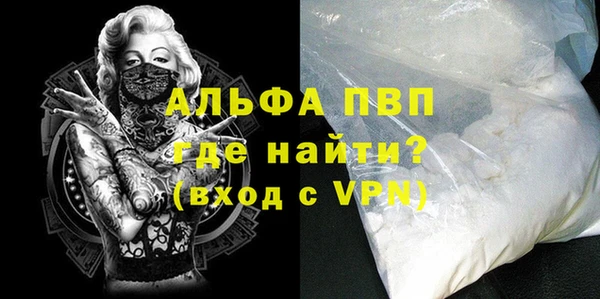 спиды Дмитриев
