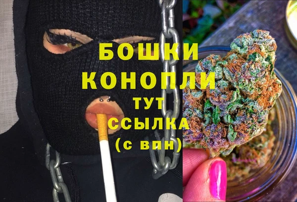 спиды Дмитриев
