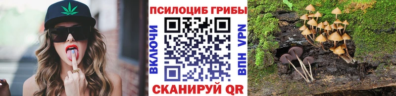 Псилоцибиновые грибы MAGIC MUSHROOMS  Купить закладки  Кудрово 